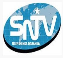 Watch Somali National Television Live TV from Somalia